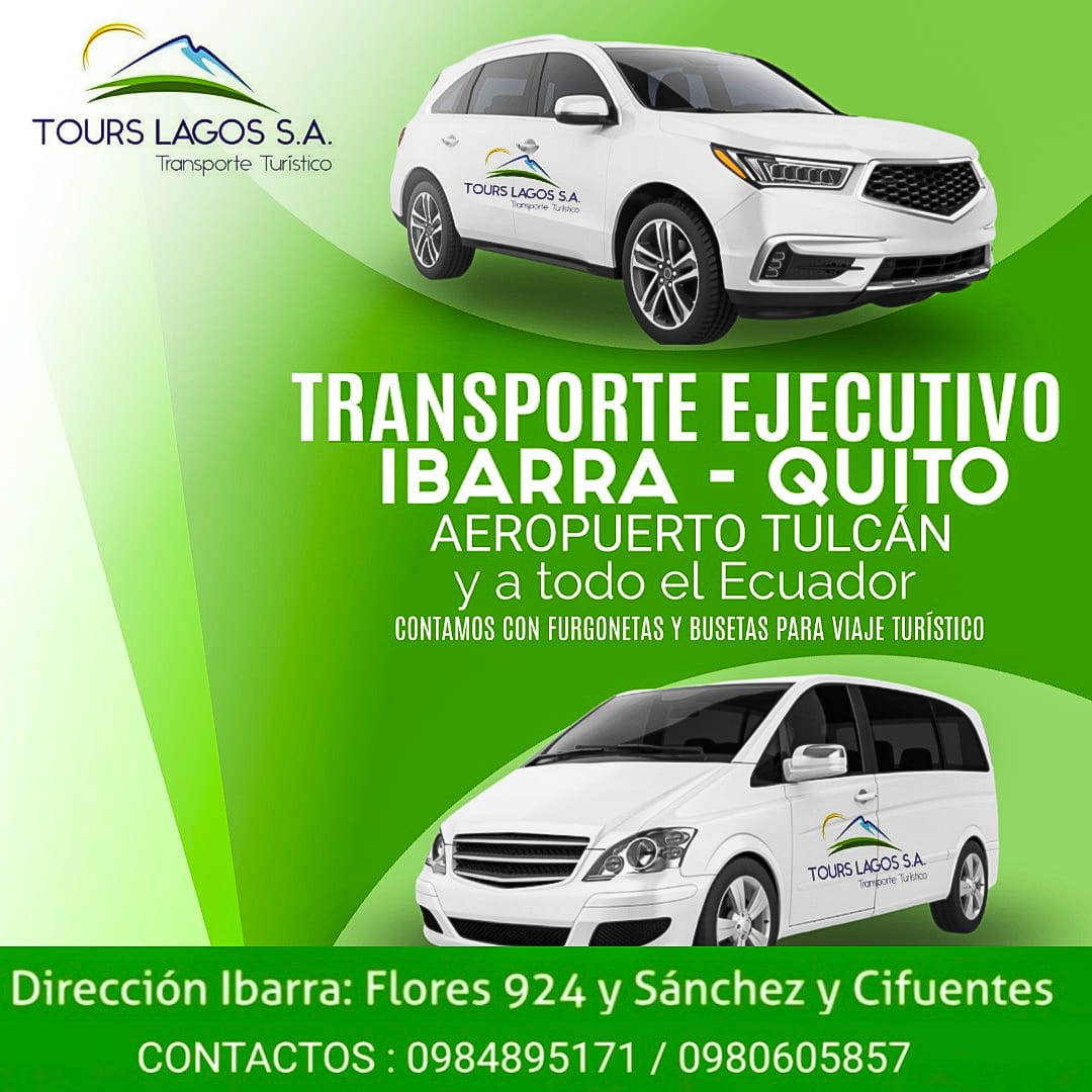 imagen 13